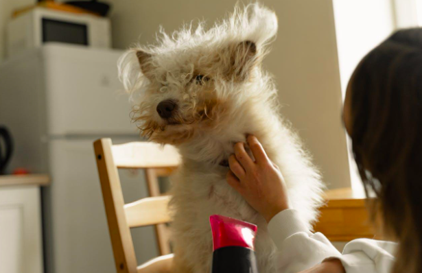 Screen Shot 2025-11-28 at 5.46.24 AM