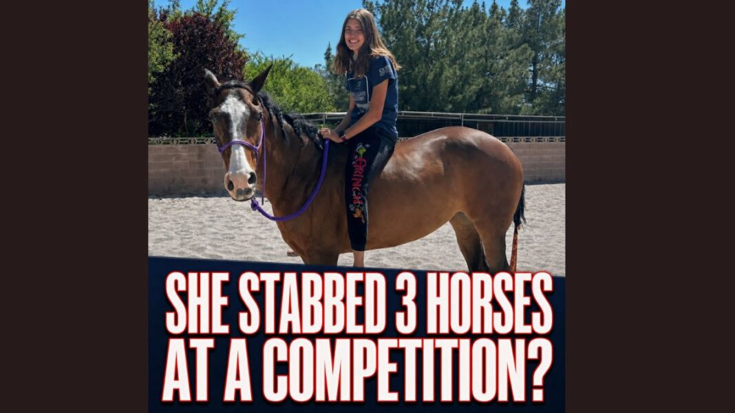 Las Vegas Teen, Emily Grace, Charged in Stabbing of Three Horses at Equestrian Competition
