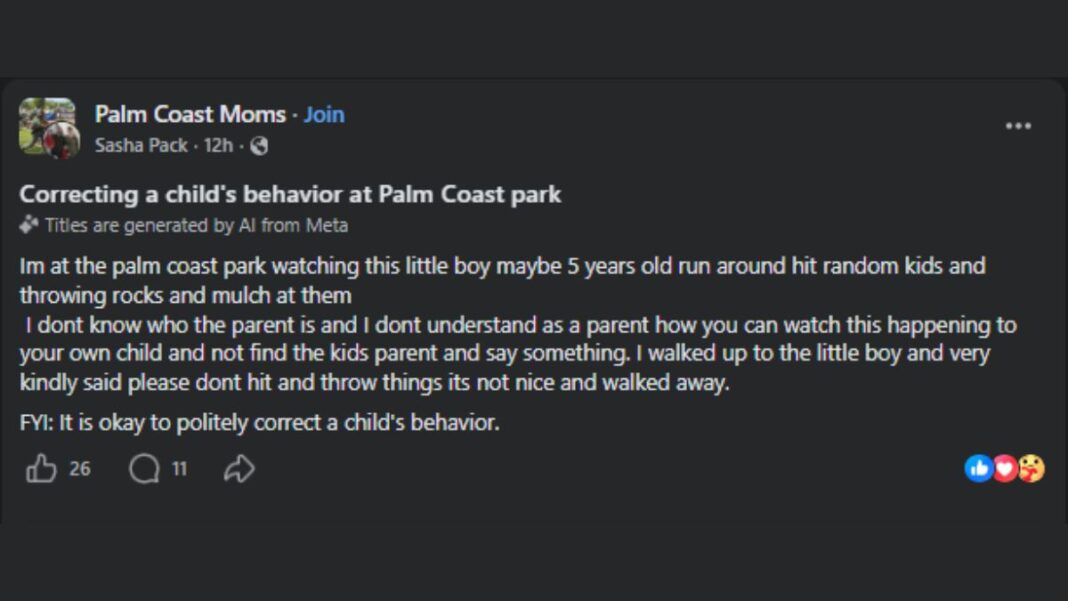 Palm Coast park unsupervised child