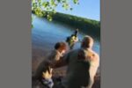 Sandybeach Attempted Murder
