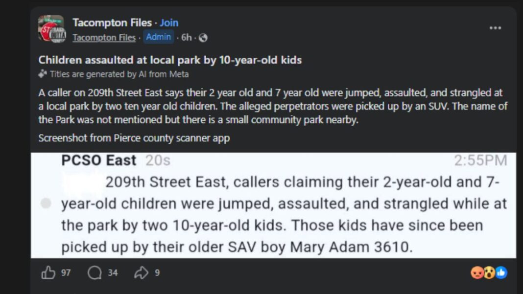 children assaulted at Tacoma park
