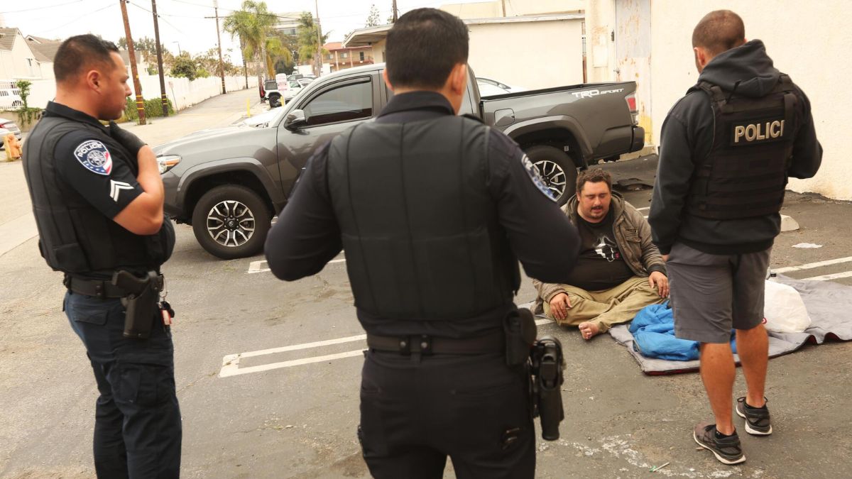 Andrew Truelove arrested